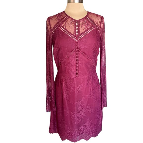 Greylin Burgundy Shirley Lace Sheath Dress LARGE Whimsygoth Dark Fairy Prom - Picture 3 of 14